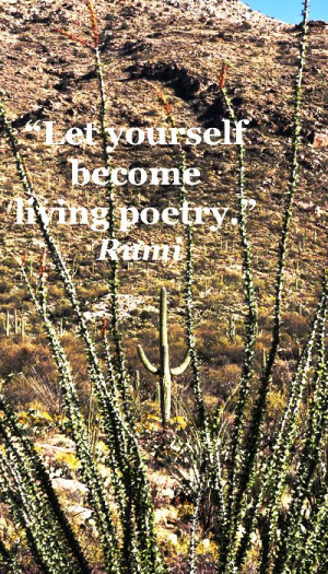 Let yourself become living poetry.” Rumi – Ocotillo burst into ...