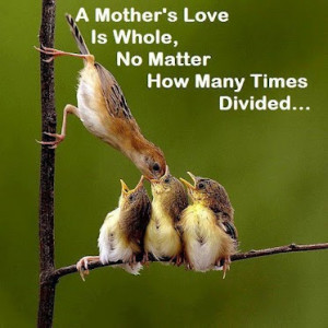 mothers-love-is-whole-no-matter-how-many-times-divided-mother-quote ...