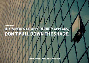 If a Window Of Opportunity Appears, Don’t Pull Down The Shade