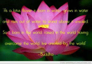 Quote Buddha Life Lotus Inspiration