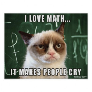 Grumpy Cat Poster- I love math it makes people cry Poster