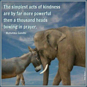 Be kind to all living beings