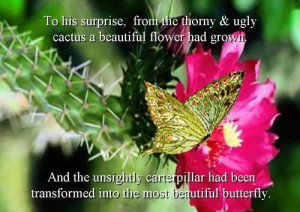 more quotes pictures under butterfly quotes html code for picture