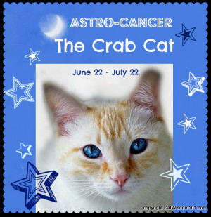 cancer-cat-astrology-mooncat-astro kitty-crab