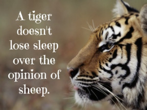 Tiger Quotes and Sayings