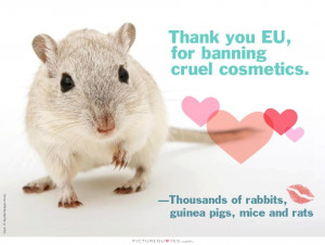 Thank you EU, for banning cruel cosmetics.