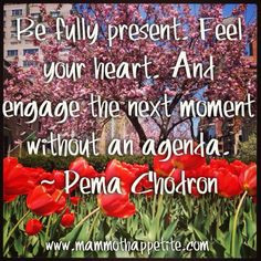 Pema Chodron