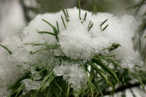 Melting Snow Oceanblueice