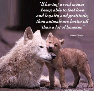 means being able to feel love and loyalty and gratitude, then animals ...