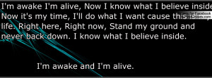 Skillet Awake And Alive Profile Facebook Covers