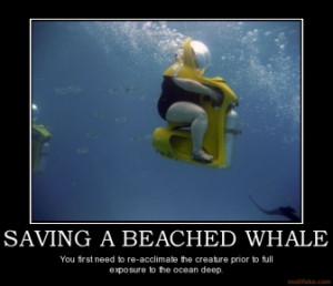saving-a-beached-whale-whales-big-beached-demotivational-poster ...