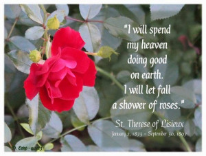St. Therese Quote ️ I have a special relic card of St. Therese ...