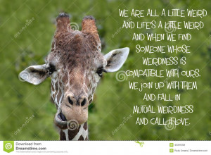 Inspirational quote about love, and life with a Portrait of a Giraffe.