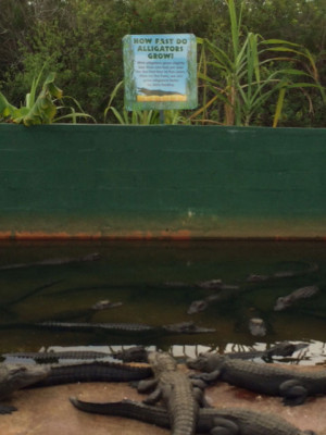 ... printed wall wraps or signage please click below to request a quote