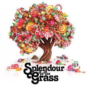Splendour In The Grass is moving back to Belongil Fields in Byron Bay
