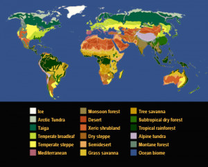 Earth's biomes are areas with similar climate, geography, and other ...