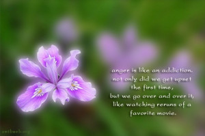 anger quotes, Anger is like an addiction not only did we get upset the ...