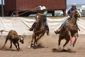 Bill Mars and Kevin England in the 60 roping Saturday.