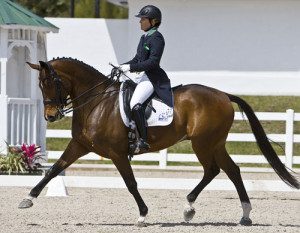 More resources about affiliated dressage quotes :