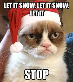 grumpy cat christmas pics | Let it snow | Grumpy Cat Christmas.... YES ...