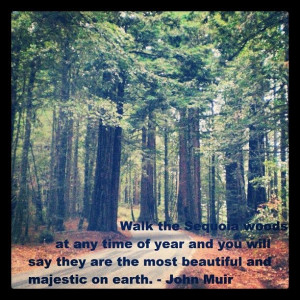 john muir quotes | John Muir Quote #47. | Don't Fence Me In.