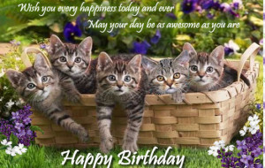 happy birthday mom cat happy birthday to ml from the