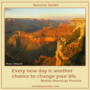 Native American Proverb [19627]