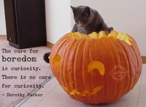 Boredom Quote: The cure for boredom is curiosity. There... Boredom- (1 ...