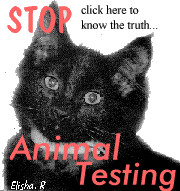 please help stop animal testing
