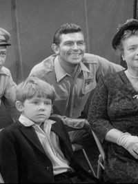 andy griffith show quotes source http www quotefully com tvshow ...