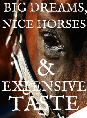 dealing with horses, i do and will own nice horses, expensive taste ...