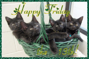 http://www.allgraphics123.com/happy-friday-the-13th/