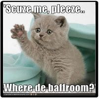 cute animal sayings - Google Search More