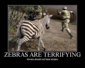 Funny Elephant Look Like Zebra