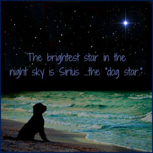 Sirius ~ the dog star