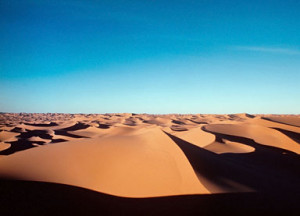 Desert Oasis Sand Picture