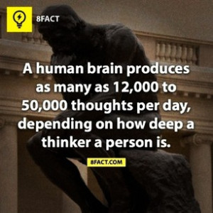 Instagram photo by eys shimr human brain humanbrain think