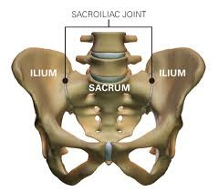 sacroilliac joint Sacroiliac Joint Pain