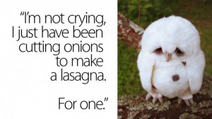 Not Crying – Owl