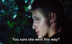 The Hunger Games THG katniss everdeen Peeta Mellark Cato ? everlark ...