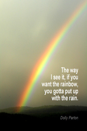 The way I see it, if you want the rainbow, you gotta put up with the ...