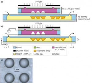MICRO-OPTICS FABRICATION: 3D microfluidic mask method rapidly ...