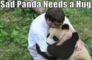 cute panda quotes