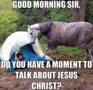 horse good morning