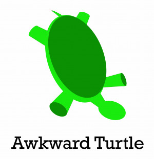 An Awkward Moment Deserves An Awkward Turtle
