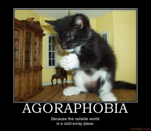 agoraphobia agoraphobia demotivational poster 1226323682