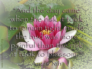 And the day came - Anais Nin quote