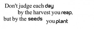 day by the harvest you reap, but by the seeds you plant wall quote ...