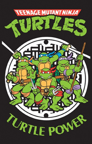 Remember all of that controversy about Teenage Mutant Ninja Turtles in ...