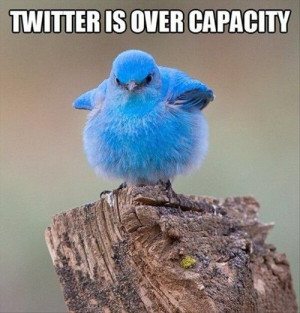 Twitter Bird Meme Can’t Handle Anymore Bandwidth